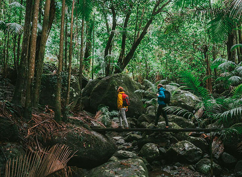 Visit Barrington Tops National Park